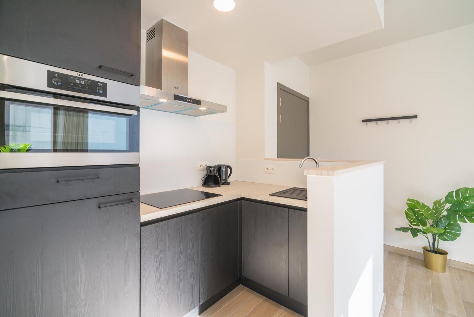 Opera Apartments In The Center Of אנטוורפן מראה חיצוני תמונה